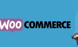 I Will Install Fix Customization Of Your Woocommerce Website